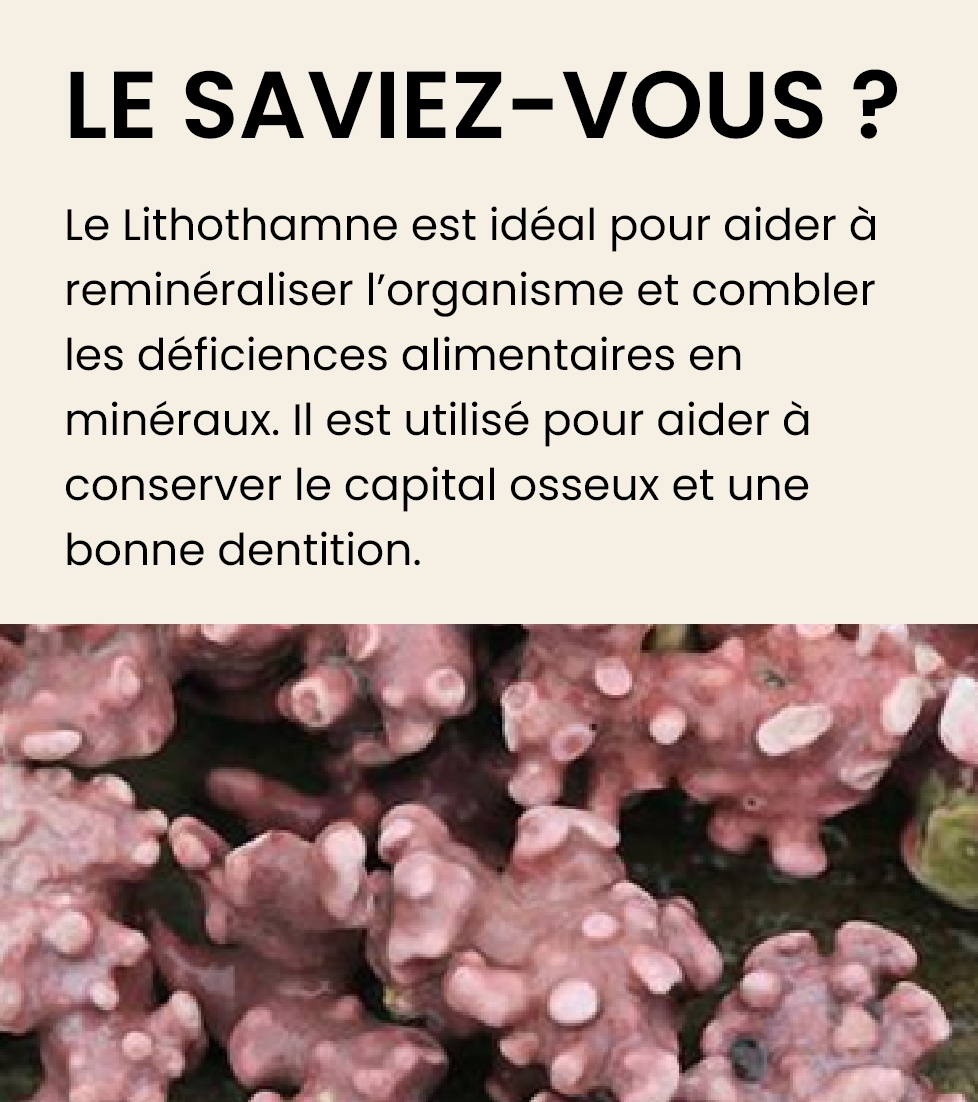 Lithothamne De Mer De Norvège 500 Mg - 80 Capsules, Supplément Calcium, Marque Vecteur Santé, Neuf France